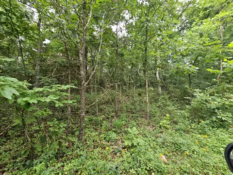 000-18 Ac Westview Rd, Neosho, MO 64850 photo 11