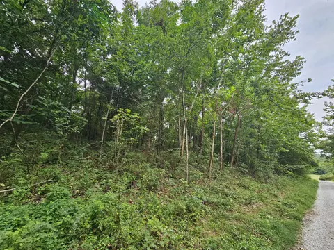 000-18 Ac Westview Rd, Neosho, MO 64850 photo 7