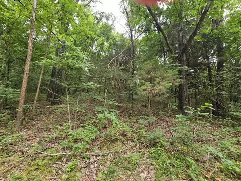 000-18 Ac Westview Rd, Neosho, MO 64850 photo 6