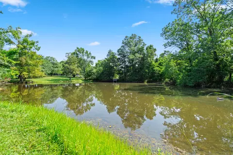 View/Area - 111 Bobcat Ct, Forsyth, MO 65653 photo 5 of 12