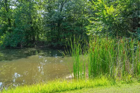 View/Area - 111 Bobcat Ct, Forsyth, MO 65653 photo 6 of 12