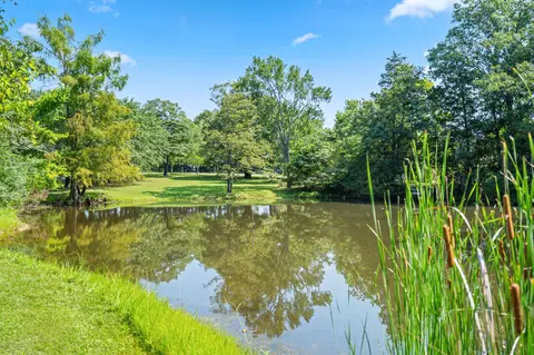 View/Area - 111 Bobcat Ct, Forsyth, MO 65653 photo 7 of 12