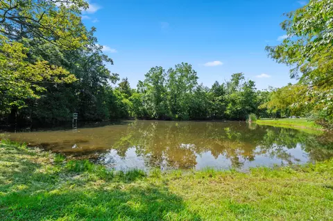 View/Area - 111 Bobcat Ct, Forsyth, MO 65653 photo 4 of 12