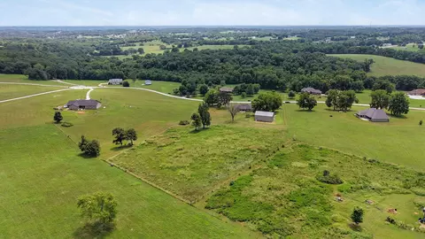 View/Area - 742 Azalea Ln, Clever, MO 65631 photo 4 of 7