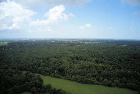 000 Nation School Rd, Marshfield, MO 65706 photo 2