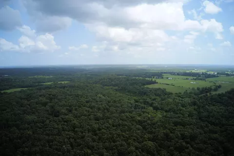 000 Nation School Rd, Marshfield, MO 65706 photo 3