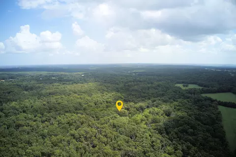 000 Nation School Rd, Marshfield, MO 65706 photo 7