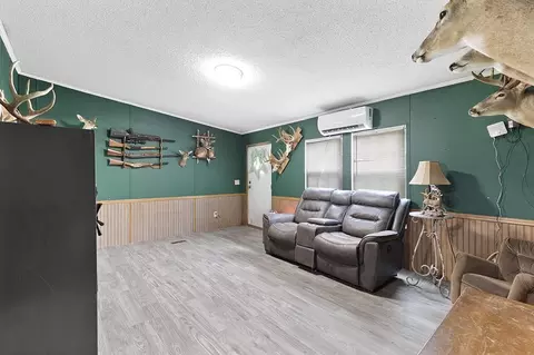 Other - 3101 Farm Road 2165, Exeter, MO 65647 photo 7 of 9