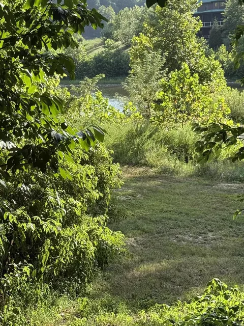 1597 State Highway Pp, Tecumseh, MO 65760 photo 2