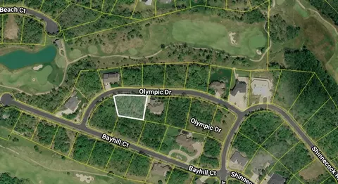 tbd Olympic Dr, Branson, MO 65616 photo 2