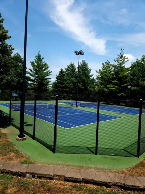 tbd Olympic Dr, Branson, MO 65616 photo 7