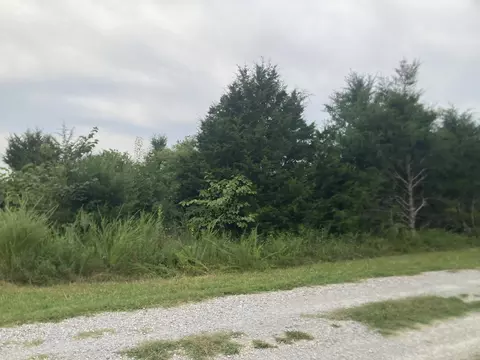 000 Reid Dr, Theodosia, MO 65761