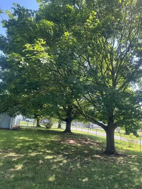 607 E Summit St, Republic, MO 65738 photo 8