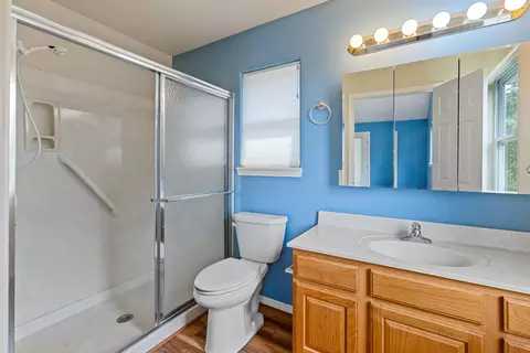 Bath - 1663 Mule Barn Dr, Cape Fair, MO 65624 photo 1 of 2