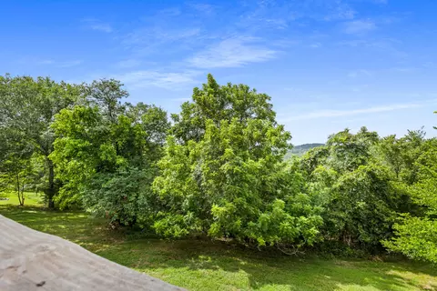 Other - 1663 Mule Barn Dr, Cape Fair, MO 65624 photo 7 of 9