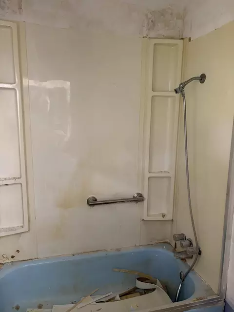 Bath - 4003 W Hialeah St, Springfield, MO 65803 photo 3 of 3