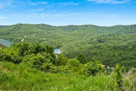 tbd Songbird Cir #LOT 2, Indian Point, MO 65616 photo 4