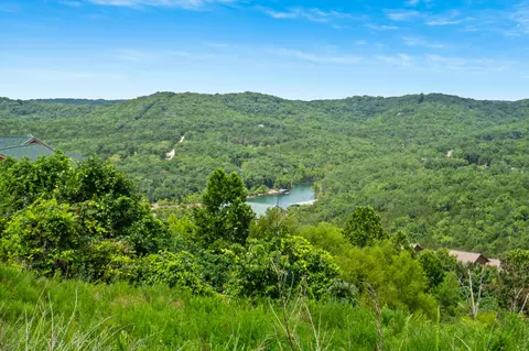 tbd Songbird Cir #LOT 3, Indian Point, MO 65616 photo 4