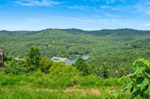 tbd Songbird Cir #LOT 4, Indian Point, MO 65616 photo 4