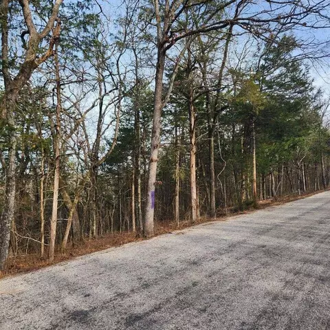 000 Persinger Rd, Cedarcreek, MO 65627 photo 14