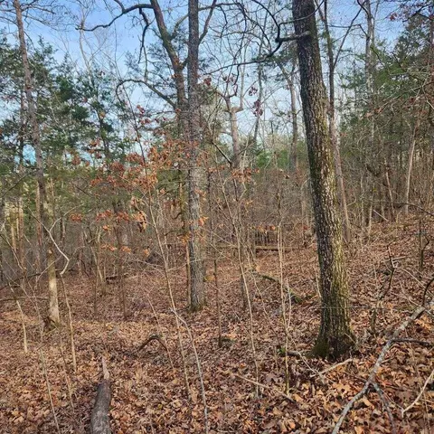 000 Persinger Rd, Cedarcreek, MO 65627 photo 13