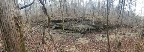 000 Persinger Rd, Cedarcreek, MO 65627 photo 17