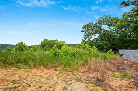 tbd Songbird Cir #LOT 13, Indian Point, MO 65616 photo 4