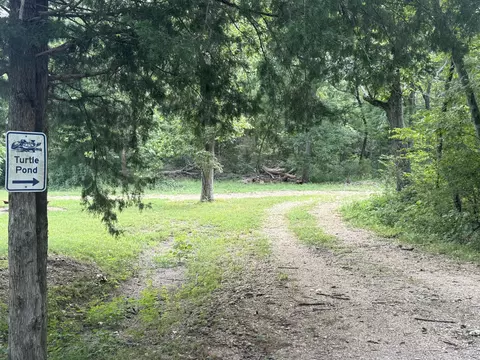 000 Paulson Dr, Edwards, MO 65326 photo 8