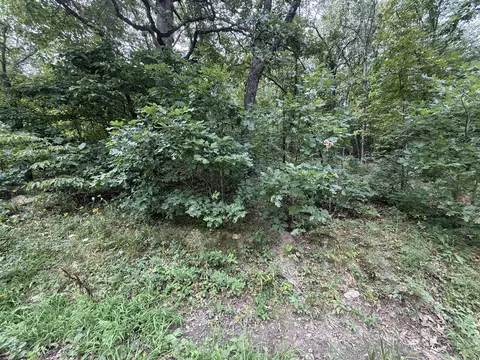 000 Paulson Dr, Edwards, MO 65326 photo 18