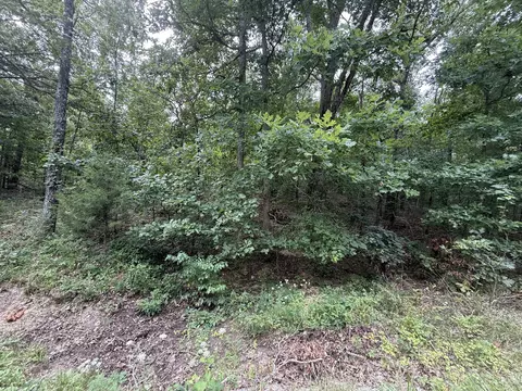 000 Paulson Dr, Edwards, MO 65326 photo 17
