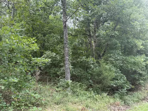 000 Paulson Dr, Edwards, MO 65326 photo 15