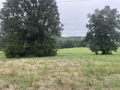Other - 5910 S St Highway 5, Ava, MO 65608 photo 25 of 30