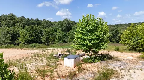 32249 State Highway 86, Eagle Rock, MO 65641 photo 6