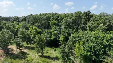 32249 State Highway 86, Eagle Rock, MO 65641 photo 8