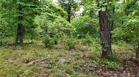 14058 County Road 416, Ava, MO 65608 photo 19