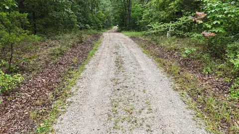 14058 County Road 416, Ava, MO 65608 photo 30