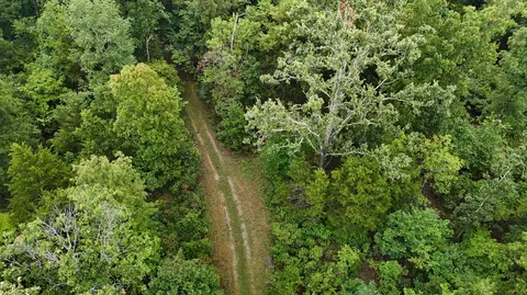14058 County Road 416, Ava, MO 65608 photo 13