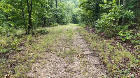 14058 County Road 416, Ava, MO 65608 photo 24