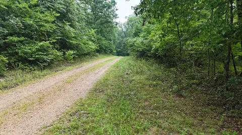 14058 County Road 416, Ava, MO 65608 photo 26