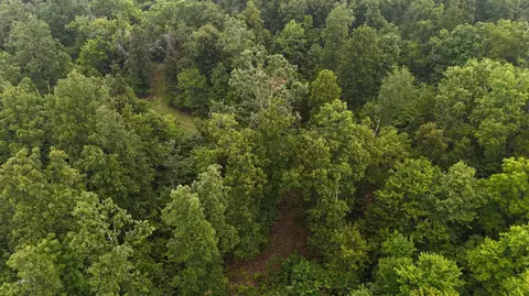 14058 County Road 416, Ava, MO 65608 photo 12