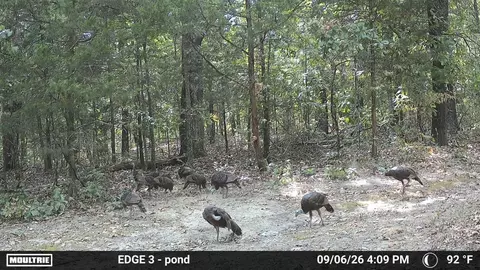 14058 County Road 416, Ava, MO 65608 photo 6
