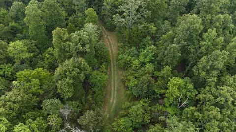 14058 County Road 416, Ava, MO 65608 photo 14
