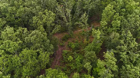 14058 County Road 416, Ava, MO 65608 photo 17