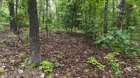 14058 County Road 416, Ava, MO 65608 photo 3
