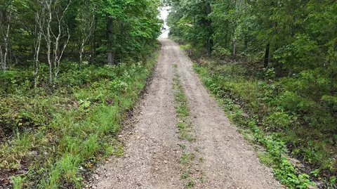 14058 County Road 416, Ava, MO 65608 photo 8