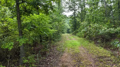 14058 County Road 416, Ava, MO 65608 photo 22