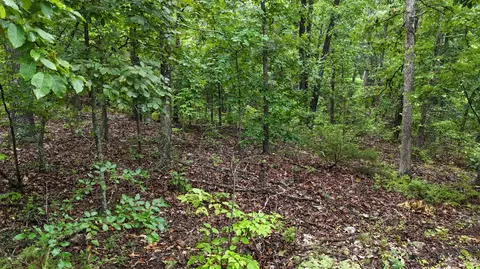 14058 County Road 416, Ava, MO 65608 photo 33