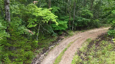14058 County Road 416, Ava, MO 65608 photo 34