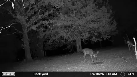14058 County Road 416, Ava, MO 65608 photo 5