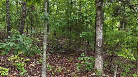 14058 County Road 416, Ava, MO 65608 photo 9
